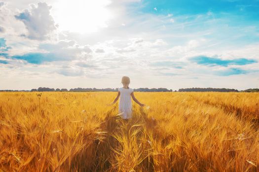 child in a wheat field. selective focus. nature