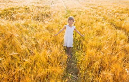 child in a wheat field. selective focus. nature