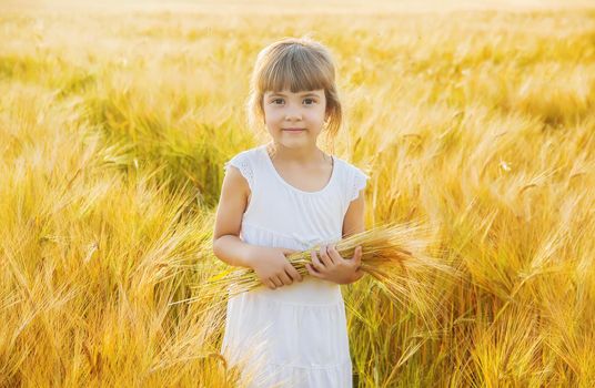 child in a wheat field. selective focus. nature