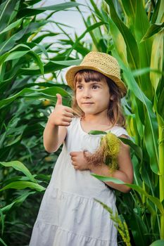 child in the field of corn. a small farmer. selective focus.