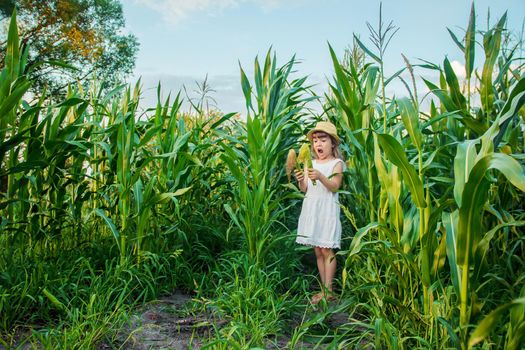 child in the field of corn. a small farmer. selective focus.