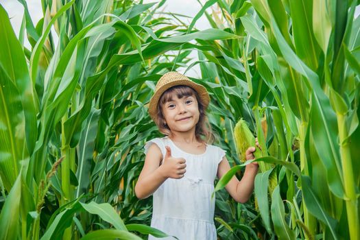 child in the field of corn. a small farmer. selective focus.