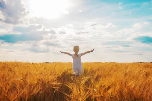 child in a wheat field. selective focus. nature