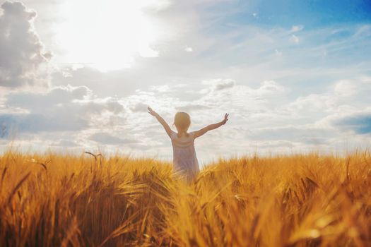 child in a wheat field. selective focus. nature