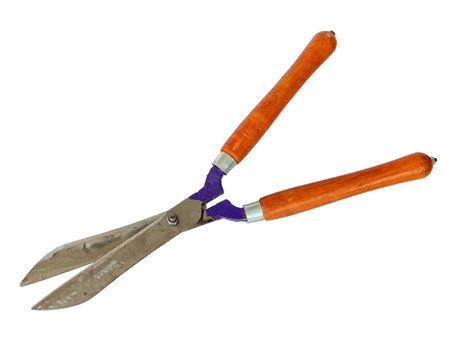 Hedge pruning shears isolated on a white background