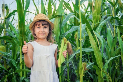 child in the field of corn. a small farmer. selective focus.