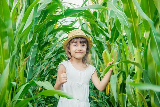 child in the field of corn. a small farmer. selective focus.