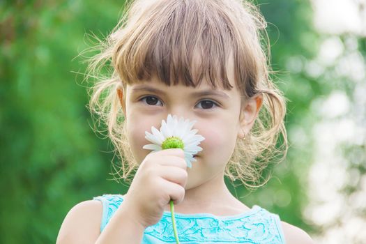 the girl is holding chamomile flowers in her hands. Selective focus.