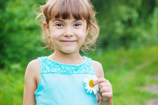 the girl is holding chamomile flowers in her hands. Selective focus. nature.