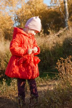 A little girl in a red coat walks in nature in an autumn grove. The season is autumn.