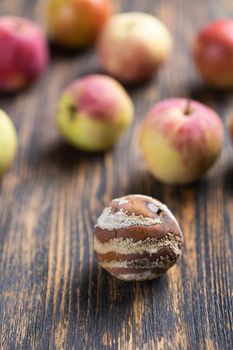 Apple with mold and fresh apple on beige background - mold growth and food spoilage concept