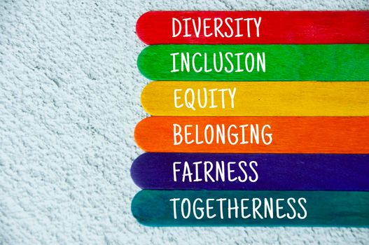 Diversity, inclusion, equality, belonging, fairness and togetherness text on colorful wooden stick - Business culture concept