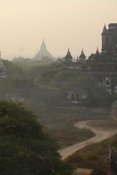 pagoda field in bagan myanmar in the morning