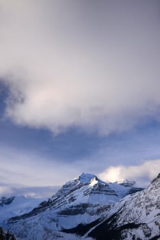 snow capped mountain in winter at canadian rockies