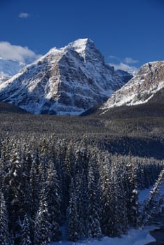 snow capped mountain in winter at canadian rockies