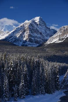 snow capped mountain in winter at canadian rockies