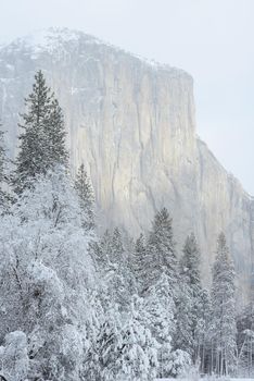 el capitan at yosemite in winter