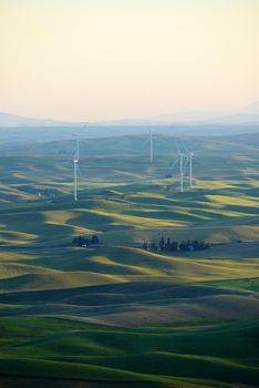 hill in southeast washington with wind mill farm