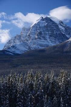 snow capped mountain in winter at canadian rockies