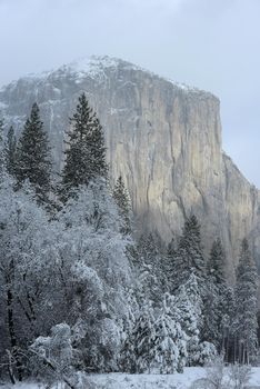 el capitan at yosemite in winter