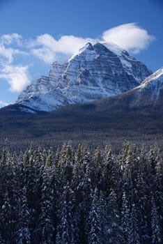 snow capped mountain in winter at canadian rockies