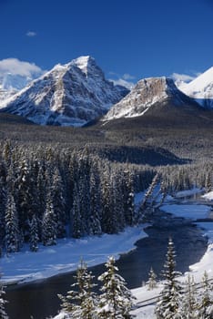 snow capped mountain in winter at canadian rockies