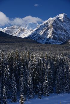 snow capped mountain in winter at canadian rockies