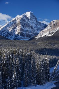 snow capped mountain in winter at canadian rockies