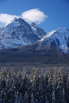 snow capped mountain in winter at canadian rockies