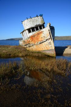 an old ship wreck at point reyes, near san francisco