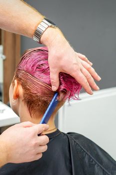 A hairdresser is combing the dyed pink wet short hair of the female client in the hairdresser salon, back view