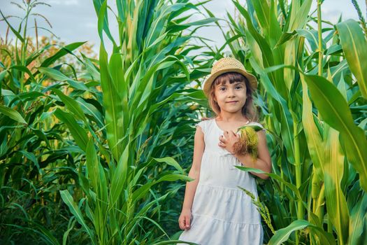 child in the field of corn. a small farmer. selective focus.