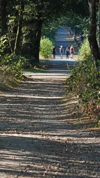 People strolling on a dirt road in forest-area. The road slopes through the beautiful landscape. Location: Springendal, the Netherlands