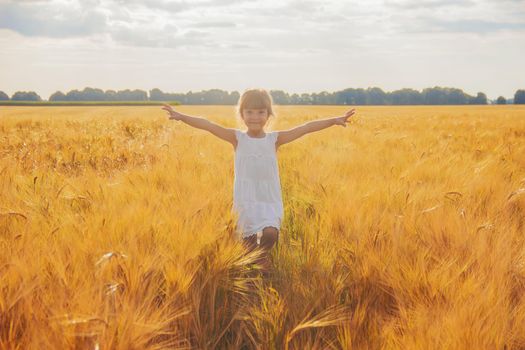 child in a wheat field. selective focus. nature