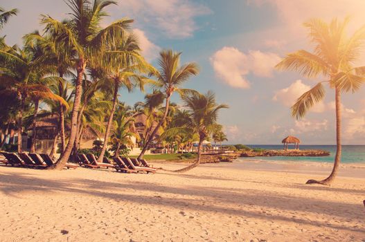 Tropical Paradise. Dominican Republic, Seychelles, Caribbean, Mauritius, Philippines, Bahamas. Relaxing on remote Paradise beach. Vintage.