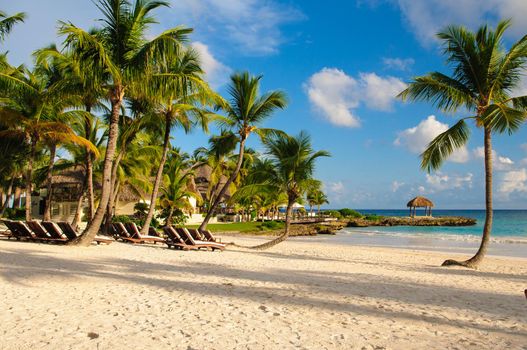 Tropical Paradise. Dominican Republic, Seychelles, Caribbean, Mauritius, Philippines, Bahamas. Relaxing on remote Paradise beach. Vintage.