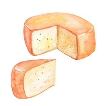 Watercolor cheese set isolated on white background. Hand drawn cheddar illustrations