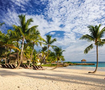 Tropical Paradise. Dominican Republic, Seychelles, Caribbean, Mauritius, Philippines, Bahamas. Relaxing on remote Paradise beach. Vintage.