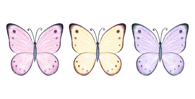 Watercolor pastel colored butterflies set isolated on white background