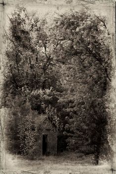 Black and white photo of a house in the forest. old vintage photo house in the woods. Old Abandoned House Building Dilapidated In The Woods Spooky Grunge Rotten Photo Under Cloudy Sky Dark Forest HD Photography