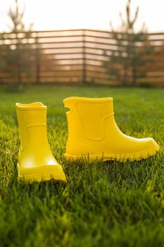 Yellow boots stands on green lawn in spring garden - summer and country life concept. High quality photo