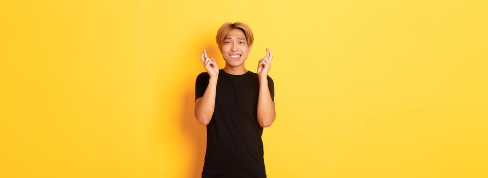 Portrait of nervous asian guy cross fingers good luck, making wish, praying over yellow background.