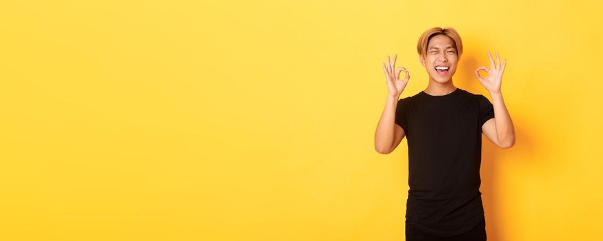 Portrait of satisfied and happy asian smiling guy, showing okay gesture in approval, winking assured, guarantee quality, yellow background.