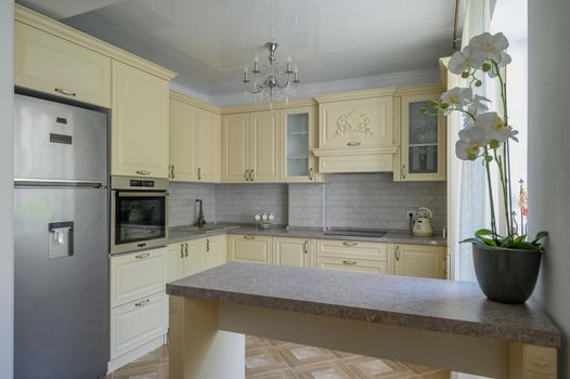 Showcase interior of modern trendy cream colored kitchen with counter