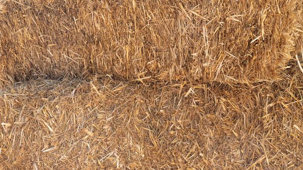 Haystacks close-up, autumn straw background. High quality photo