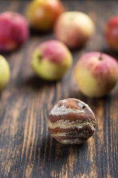 Apple with mold and fresh apple on beige background - mold growth and food spoilage concept