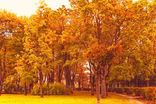 Seasonal travel, retro backdrop and rural environment concept - Beautiful autumn landscape background, vintage nature scene in fall season