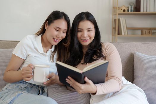 Two asian women having nice lively conversation in living room on sofa in cozy interior.