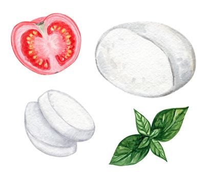 Watercolor caprese ingredients set isolated on white background. Tomato, basil and mozzarella cheese hand drawn illustration. Italian food recipe