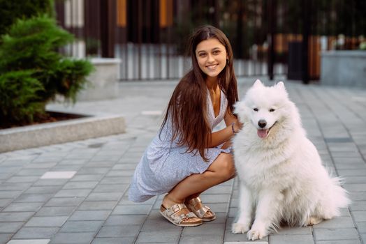 A young woman hugs a big dog at sunset in summer